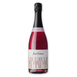 CAVA ROSADO J. VENTURA PÀLID BRUT (B07)